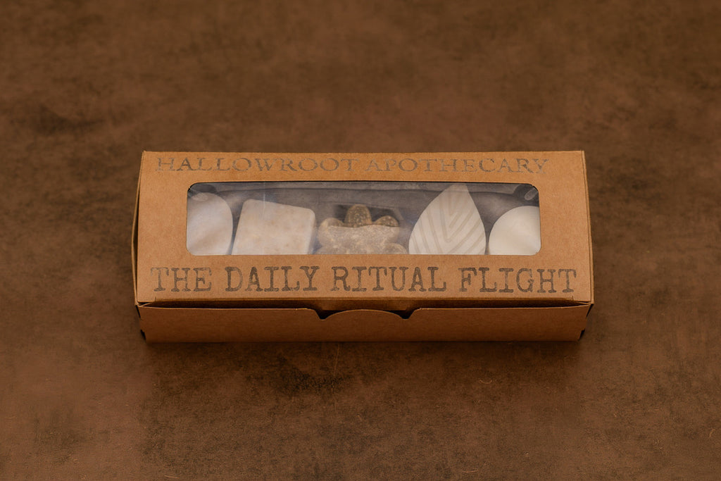 The Daily Ritual Flight