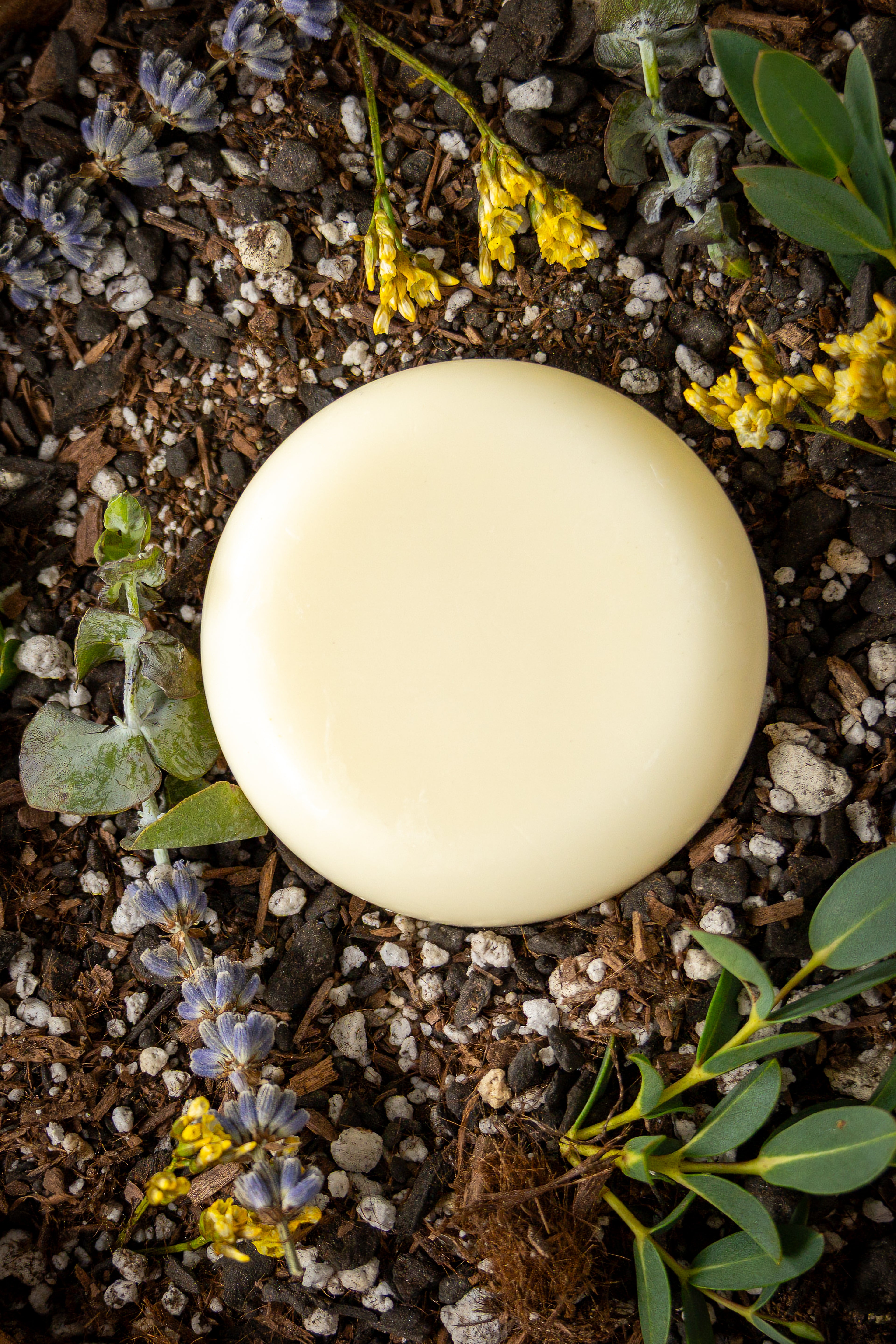 The Calendula & Goat Milk Face Bar
