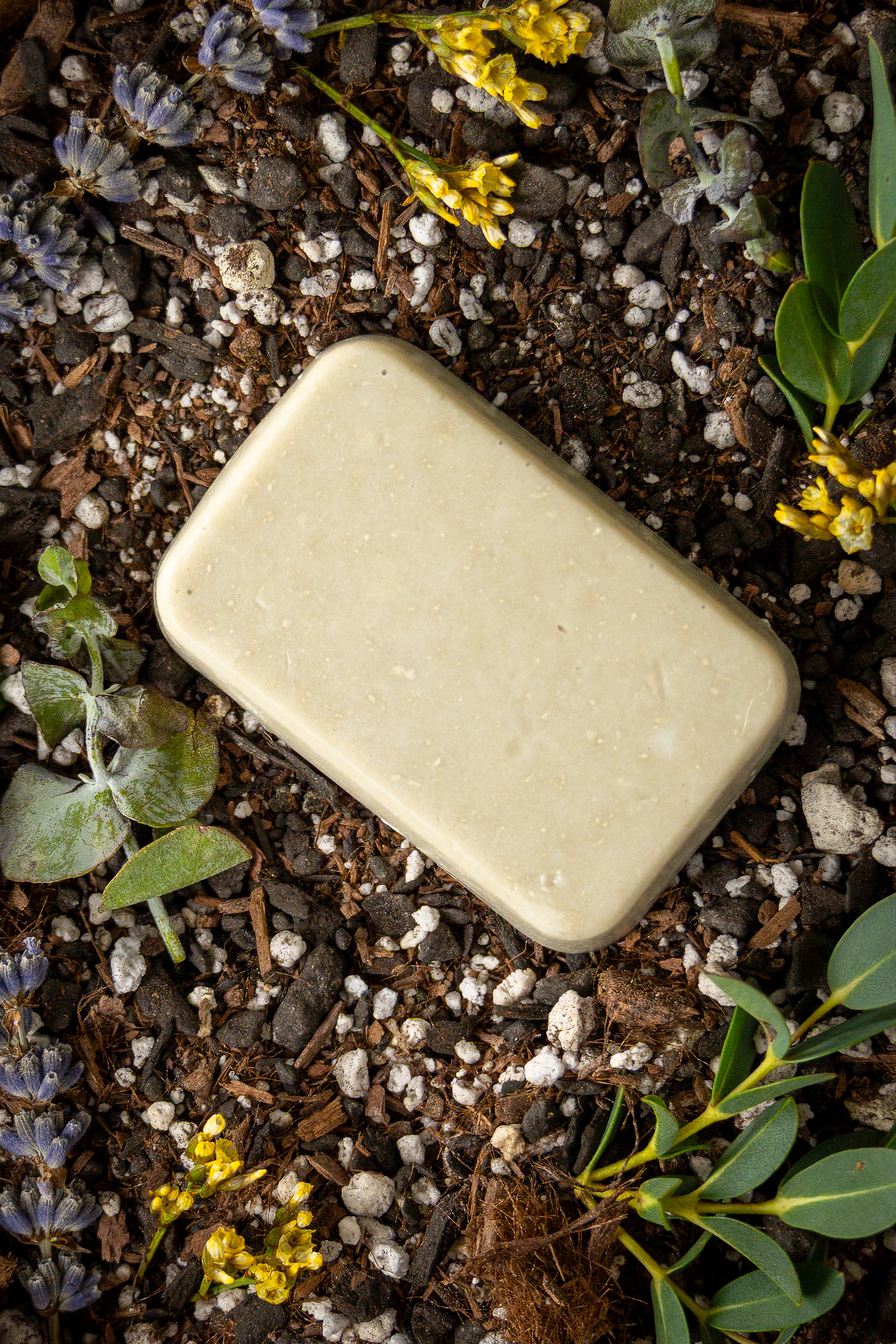 The Clay & Goat Milk Face Bar