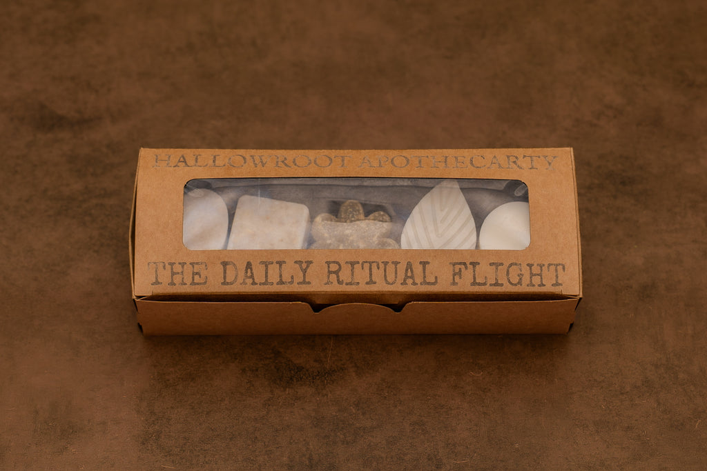 The Daily Ritual Flight