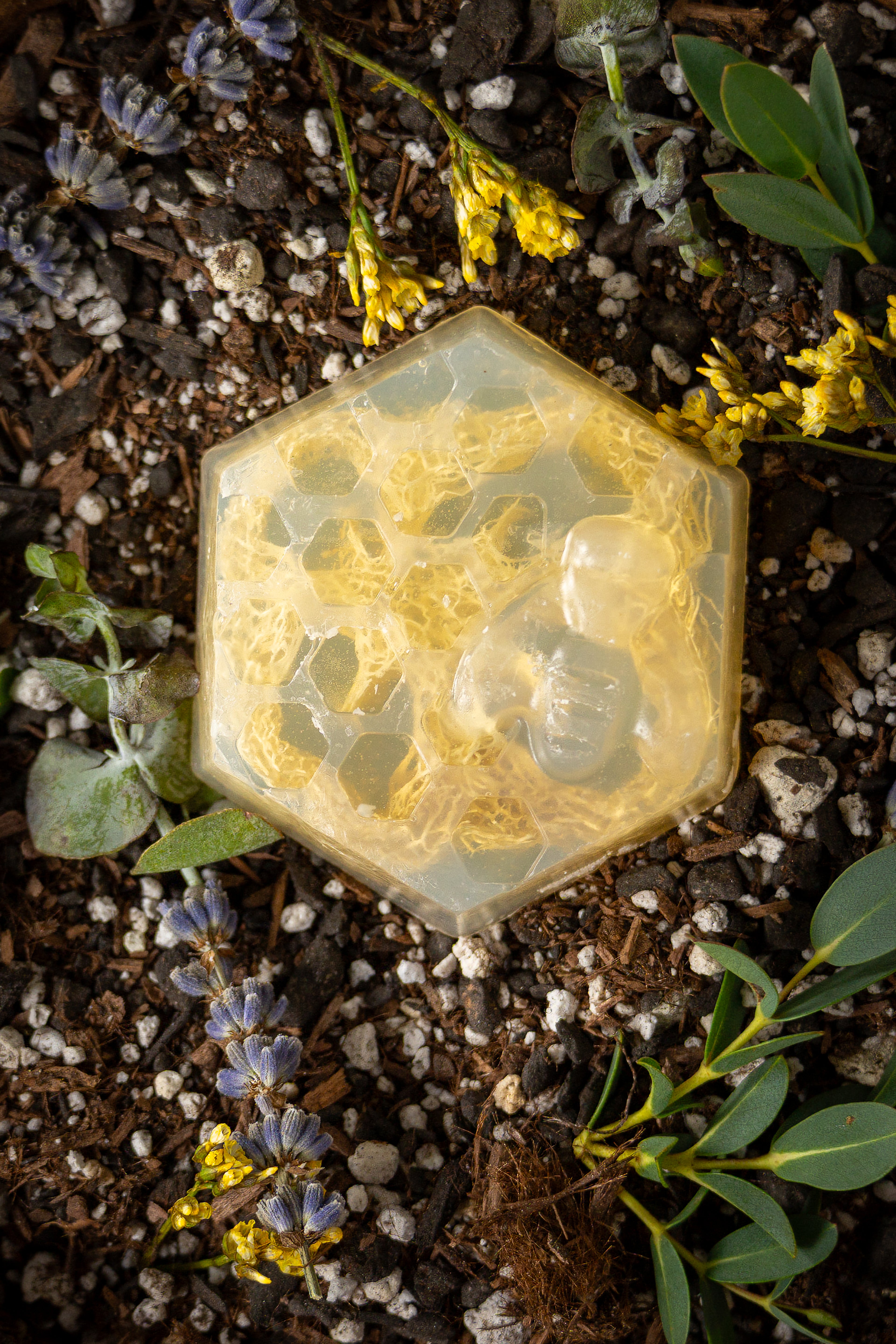 The Honey Bar