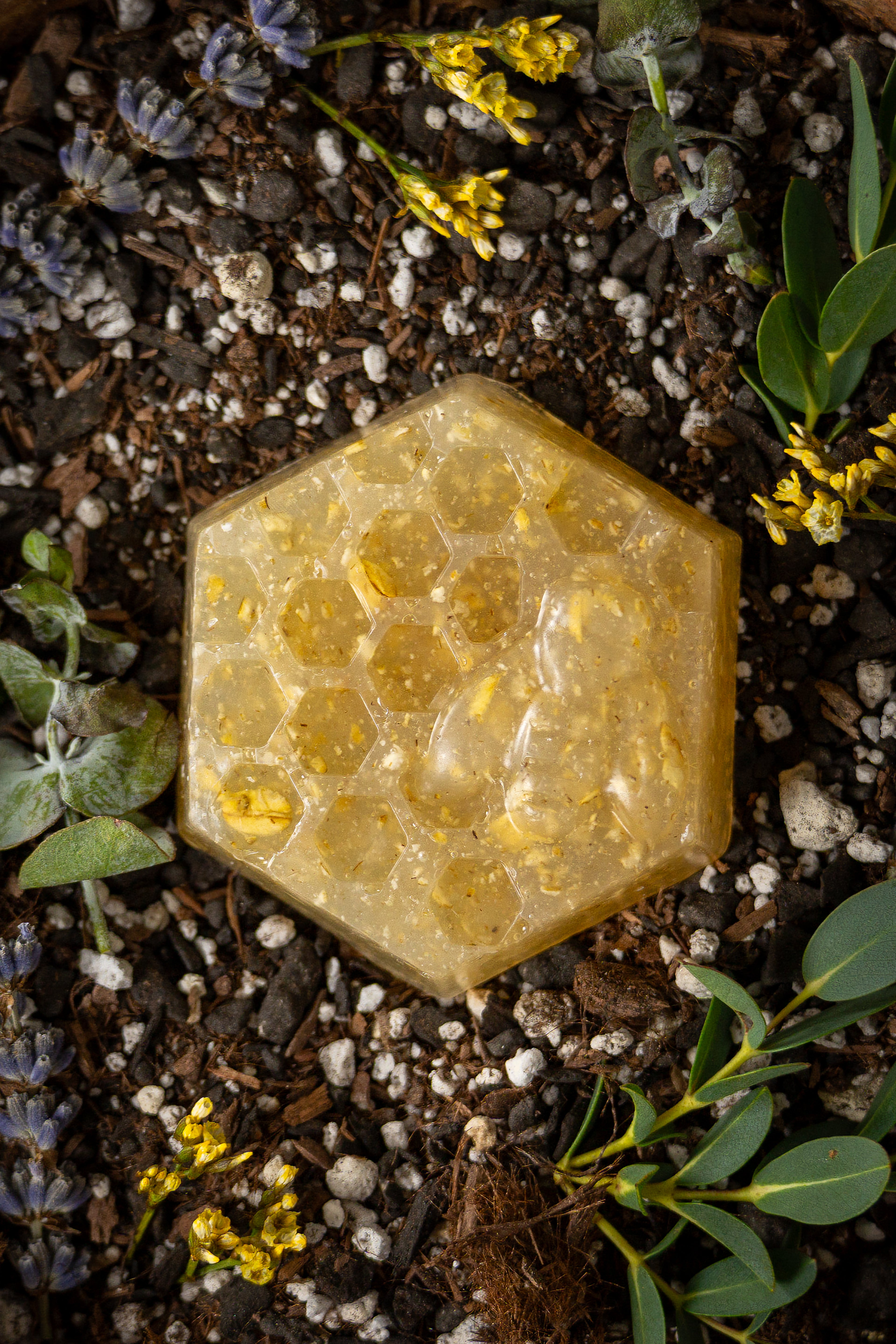 The Honey Bar