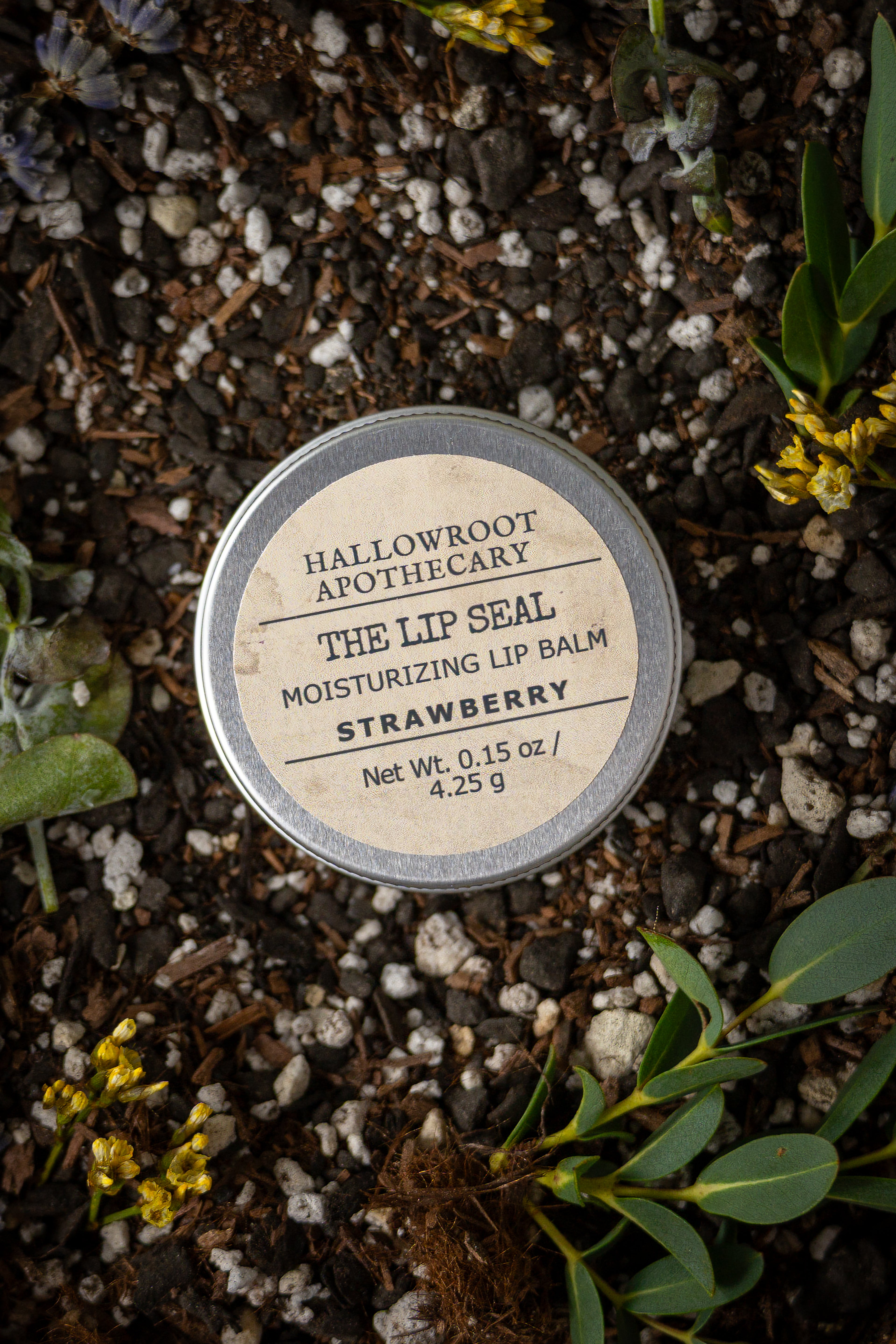 The Lip Seal