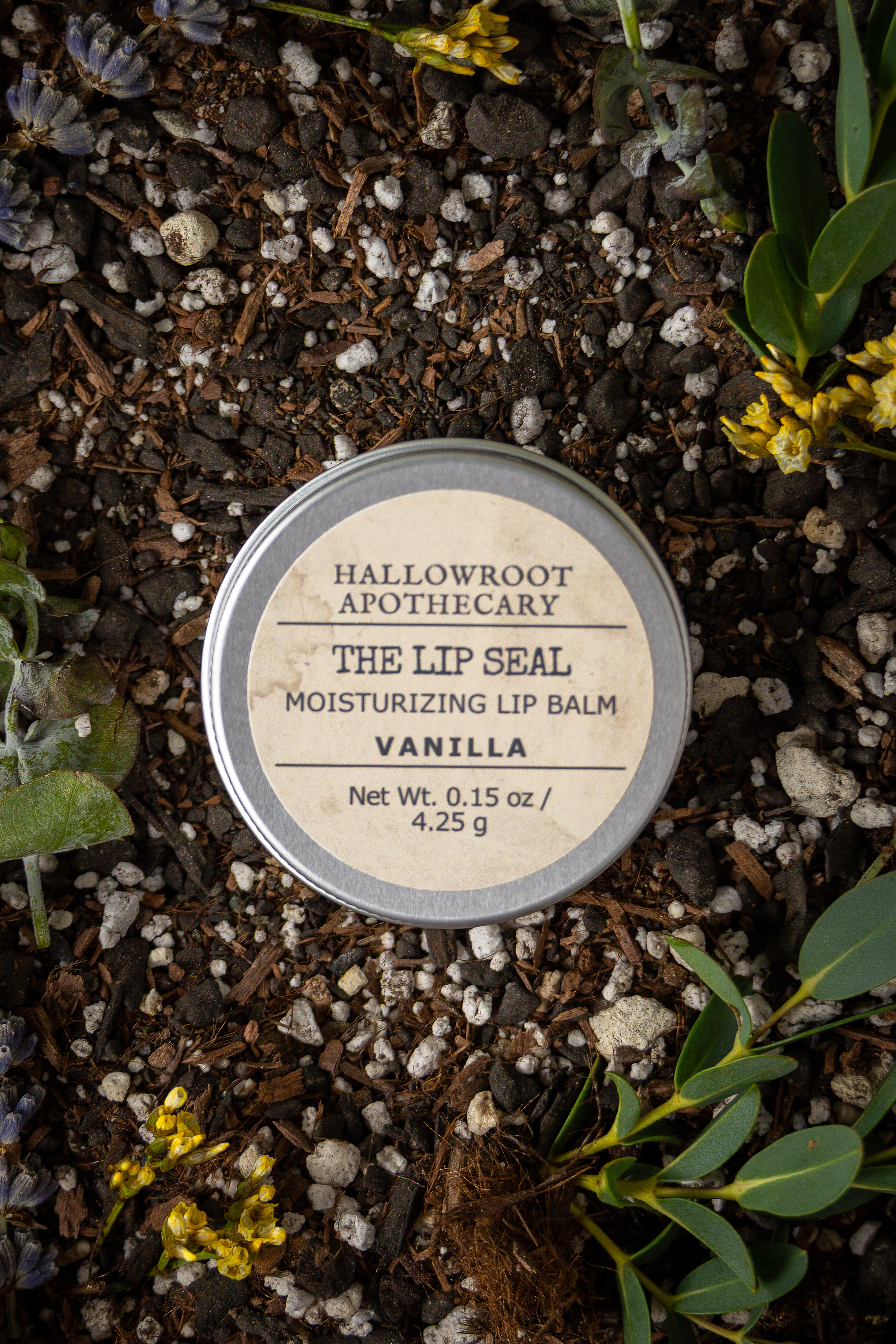 The Lip Seal