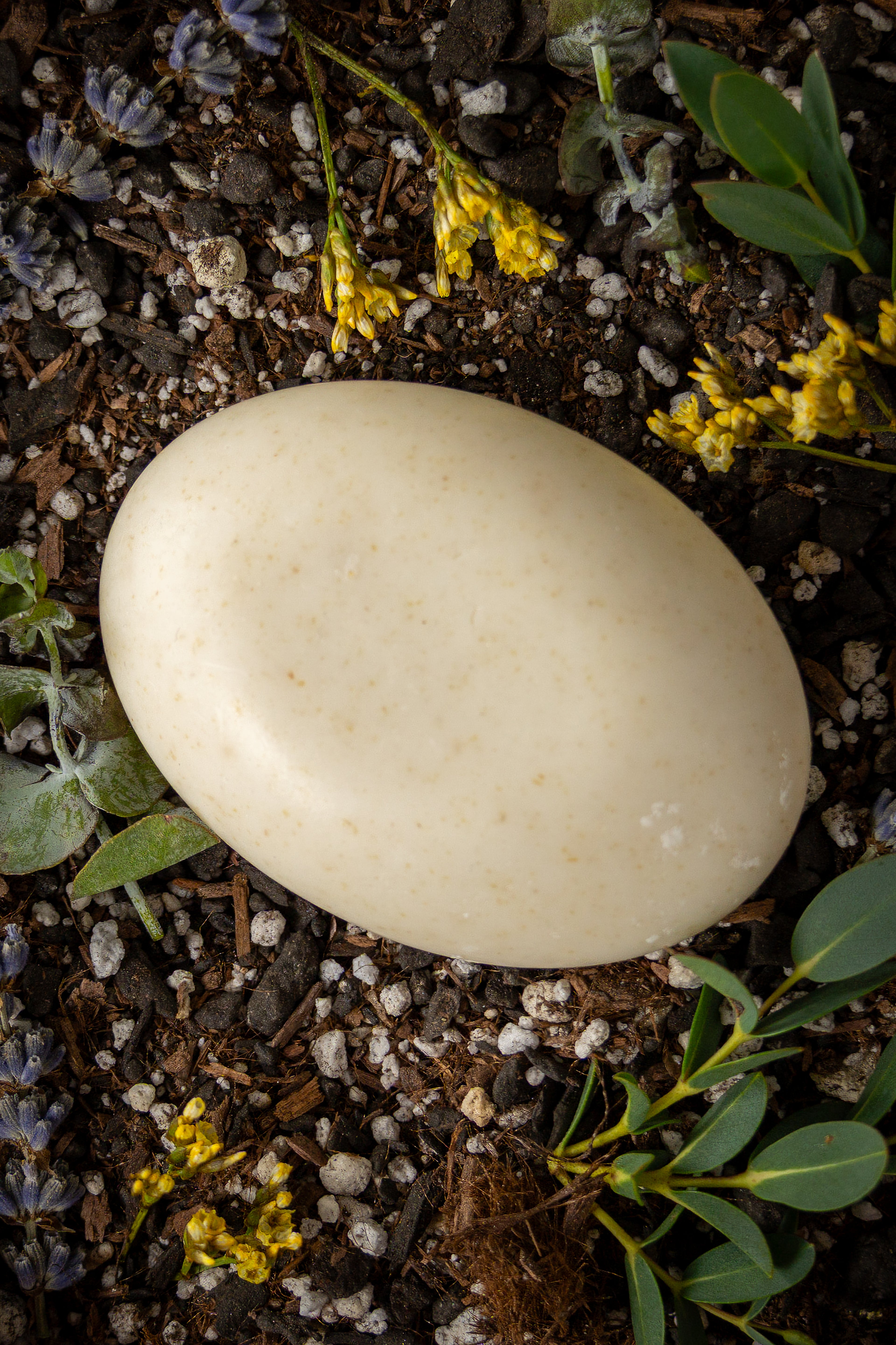 The Vanilla & Almond Bar